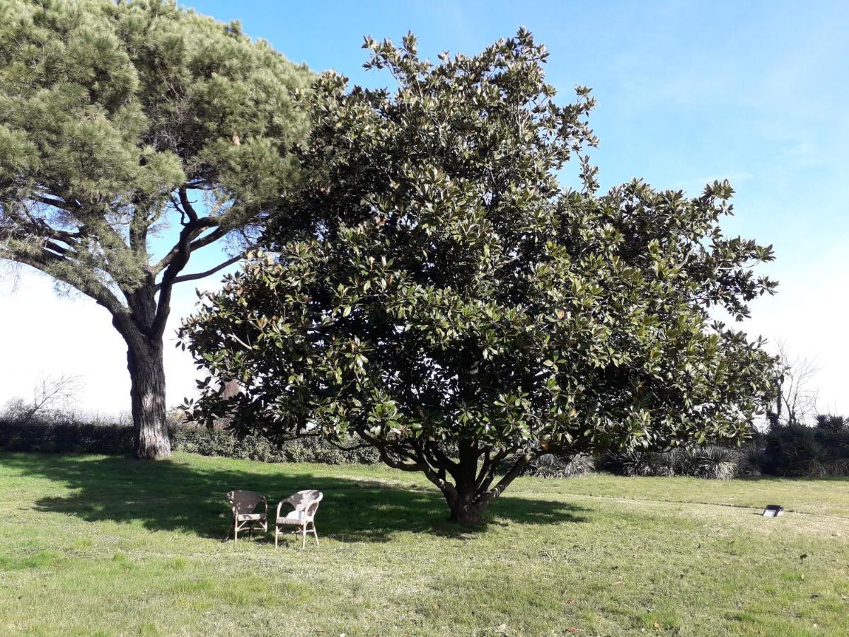 Antico Borgo Di Sutri Hotell Exteriör bild