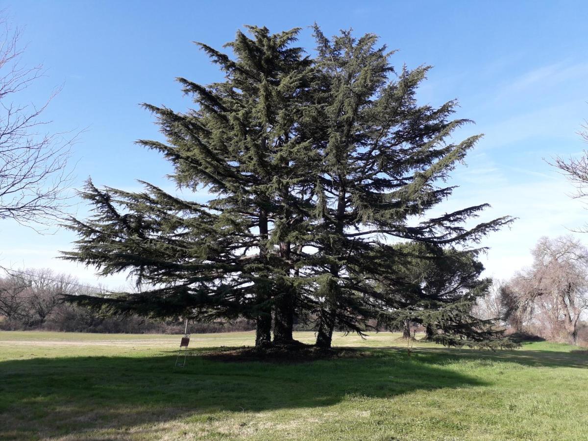 Antico Borgo Di Sutri Hotell Exteriör bild